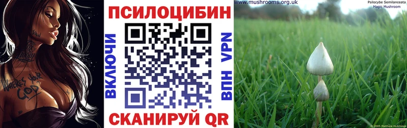 продажа наркотиков  Котово  Псилоцибиновые грибы Magic Shrooms 